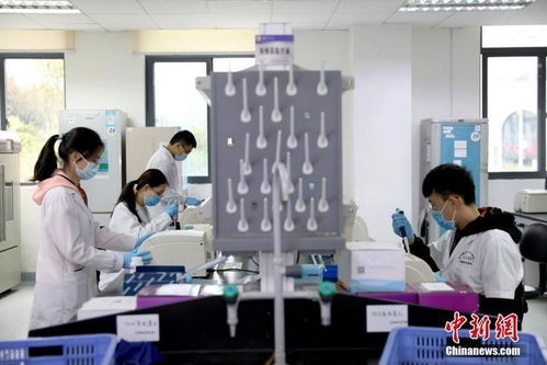 打卡介苗能否減少新冠肺炎感染風(fēng)險(xiǎn)？專家回應(yīng)與技術(shù)開發(fā)進(jìn)展